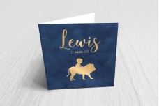 Jongen met leeuw